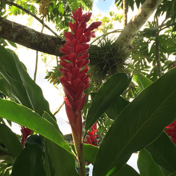 Meet your Posher, Taiyo - Picture 1 of 1